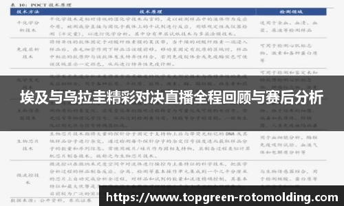 埃及与乌拉圭精彩对决直播全程回顾与赛后分析